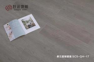 午夜影院在线观看污地板 | 居家生活，百看不腻